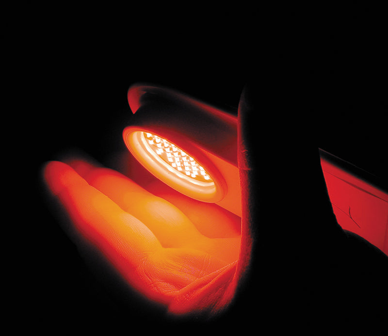 Évolution de la LED sur le corps